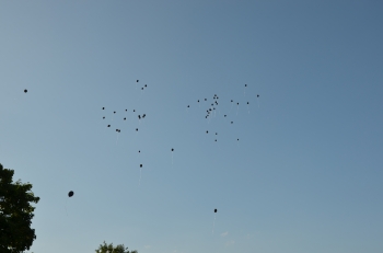 DSC_0904.JPG
