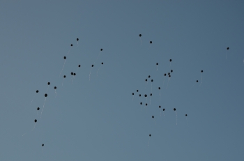 DSC_0905.JPG