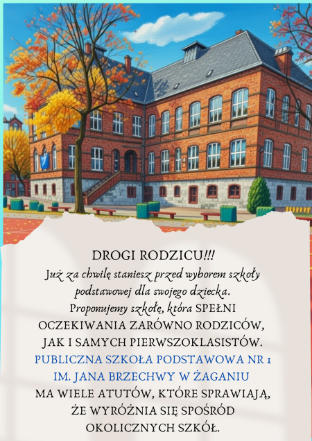 Przyjdź, zobacz, zostań z nami! Sprawdź naszą ofertę – wybierz mądrze.